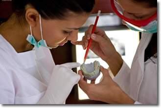 Two dentists looking at a model of teeth.